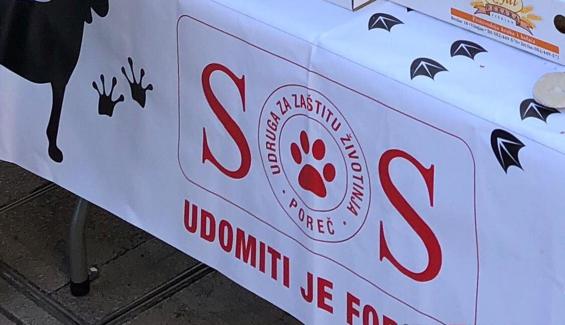 Poreč: Slatki štand za pomoć nezbrinutim životinjama Poreč: Slatki štand za pomoć nezbrinutim životinjama