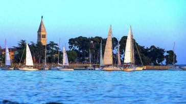 Foto TZ Novigrad - Transadriatica jedriličari