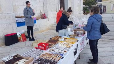 Foto Tanja Kocijančić - Ilustracija sos šape