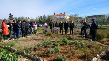 Edukativni izlet Ekosfere: Bio Istra vodila srednjoškolce u maslinik, muzej Istrian de Dignan i na plantažu aromatičnog bilja Edukativni izlet Ekosfere: Bio Istra vodila srednjoškolce u maslinik, muzej Istrian de Dignan i na plantažu aromatičnog bilja
