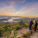 turistička zajednica središnje istre