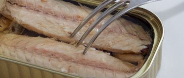 skuša riba konzerva ilustracija pixabay