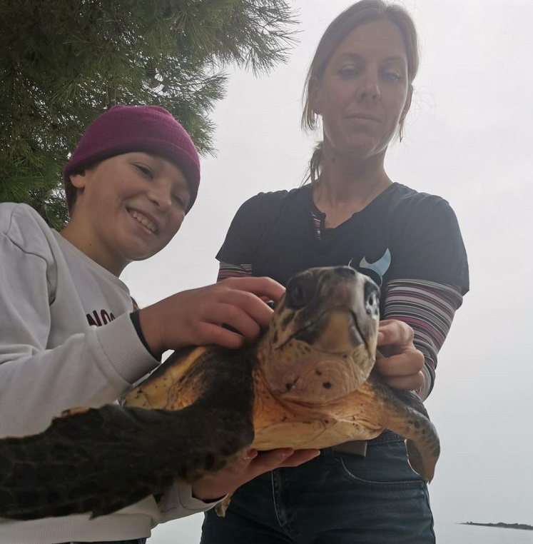 kornjače brijuni vraćene u more