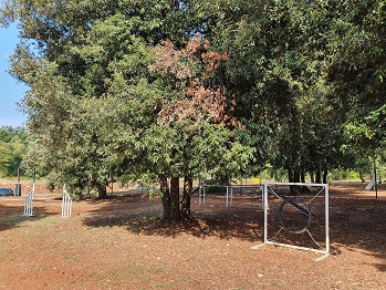 Vau park za pse na porečkoj Finidi - Dovršeno preuređenje - Foto Grad Poreč