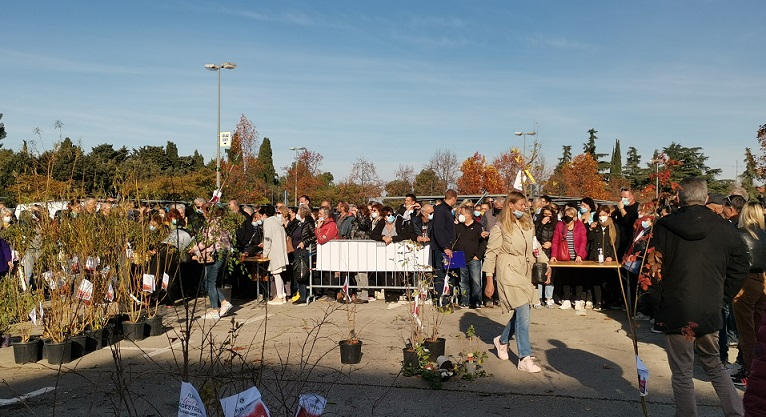 podjela sadnica poreč akcija zasadi drvi ne budi panj veliko parkiralište 19-11-2021