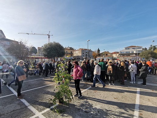 Foto Tanja Kocijančić podjela besplatni hsadnica grad poreč akcija zasadi drvo 19-11-2021
