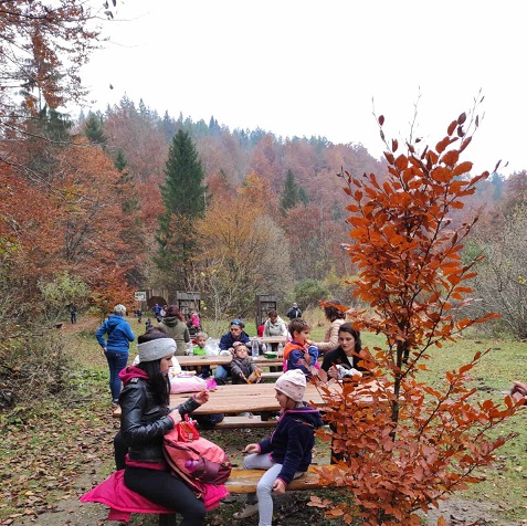 Foto Dječji vrtić Vrtuljak Marčana