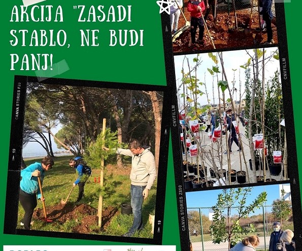 zasadi stablo ne budi panj poreč