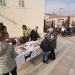 sos šape poreč štand donacije nezbrinute životinje trg slobode poreč pas psi foto tanja kocijančić