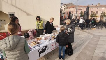 sos šape poreč štand donacije nezbrinute životinje trg slobode poreč pas psi foto tanja kocijančić