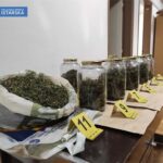 Foto Policijska uprava istarska diler droga pazin marihuana policija mup