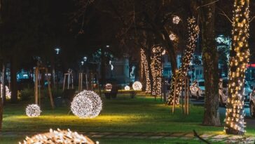 novigrad prosinac božić ukras ukrašene ulice parkovi foto TZ Novigrad