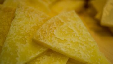 Ovčji sir - Foto Andi Bančić