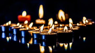 crna magija karte tarot vidovnjak pixabay