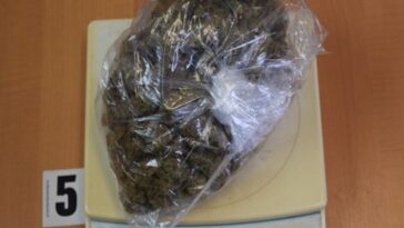 Foto Policijska uprava istarska droga marihuana