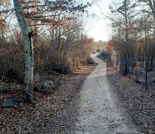 Foto Grad Poreč