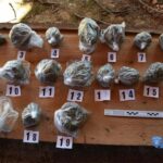 policija mup droga marihuana