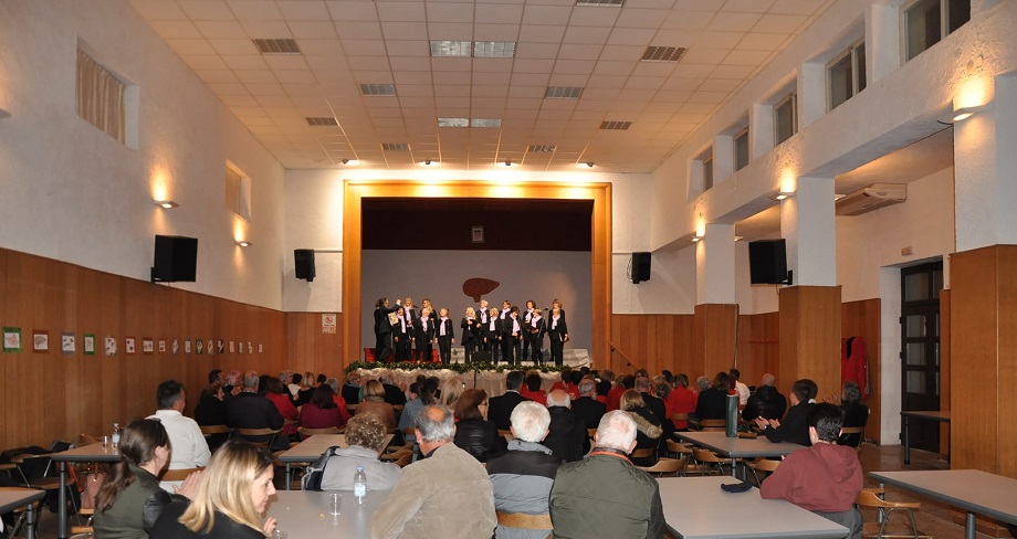 Foto Općina Kaštelir-Labinci - Okarina Fest