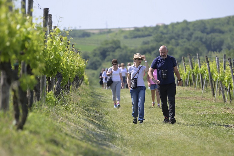 Foto PR Istria Wine&Walk 2022