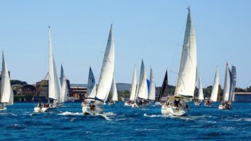 Foto Jedriličarski klub Delfin Pula jedrilice pula regata