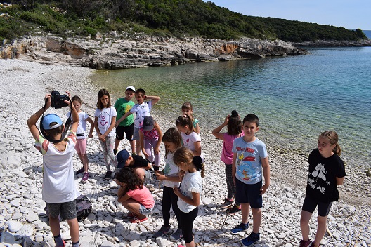 Djeca na plaži upoznaju morski svijet - Marčana