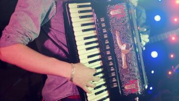Foto Adaoaalves za Pixabay - Ilustracija harmonika