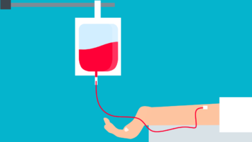 Foto di mohamed Hassan da Pixabay krv davanje krvi akcija