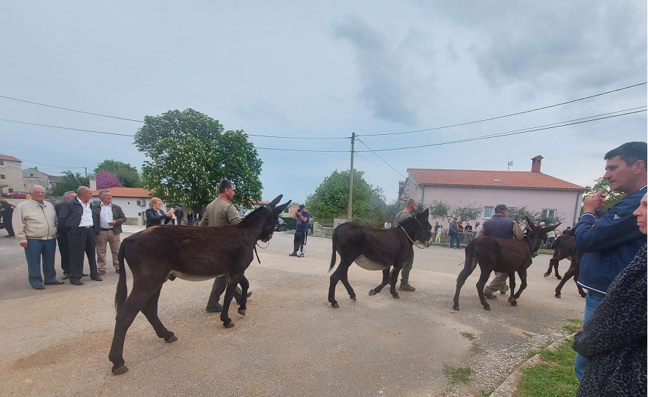 Foto TZ Marčana