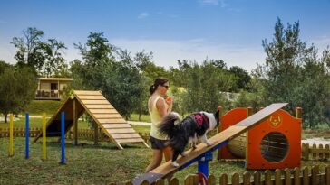 Foto Aminess Novigrad kućni ljubimci pas pet friendly