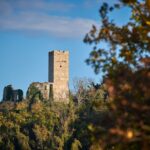 Momjan - Foto TZ Buje