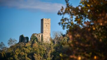 Momjan - Foto TZ Buje