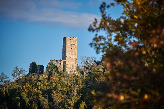 Momjan - Foto TZ Buje