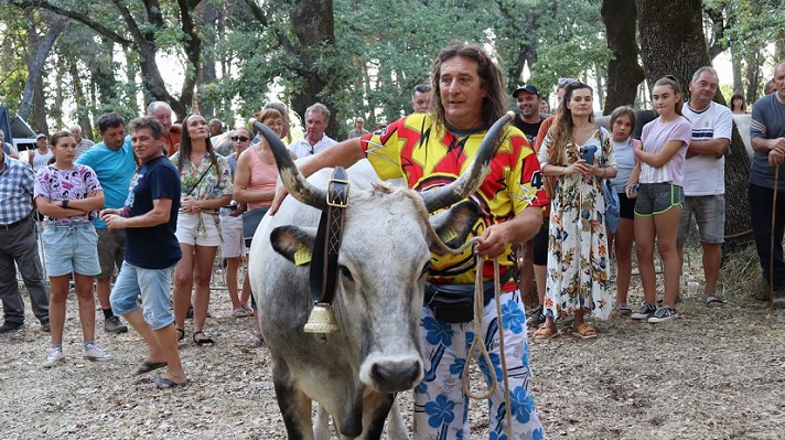 Također Antonio Radin, ovaj put s pobjedničkom kravom