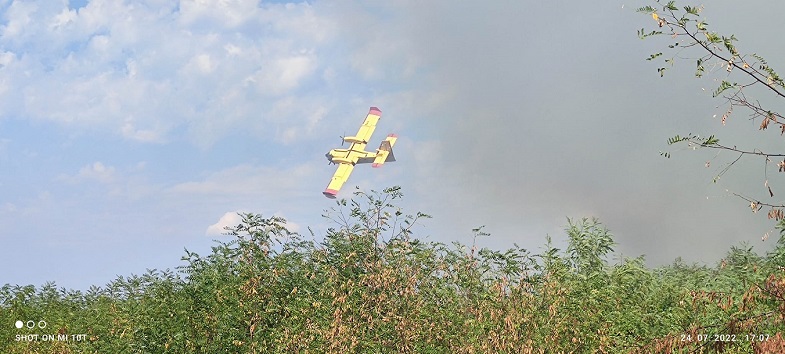 Foto Vatrogasci Umag - Kanader gasi požar kod Katora