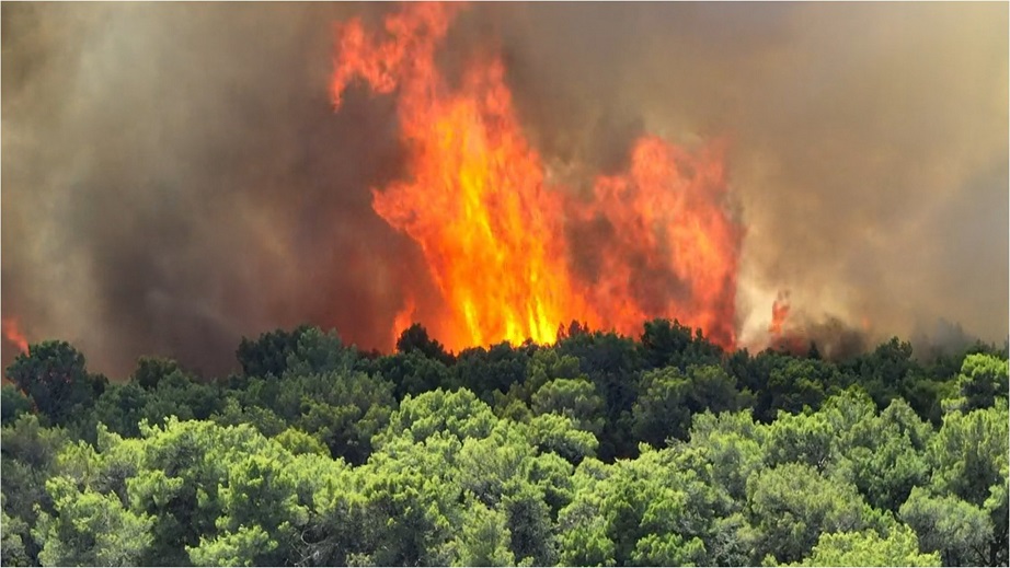 Požar u Puli - Foto Vatrogasci Rovinj