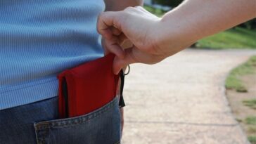 džeparenje lopov novčanik mup policija