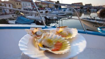 Delicije od morskih plodova - Foto TZ Novigrad kapešante jakobove kapice