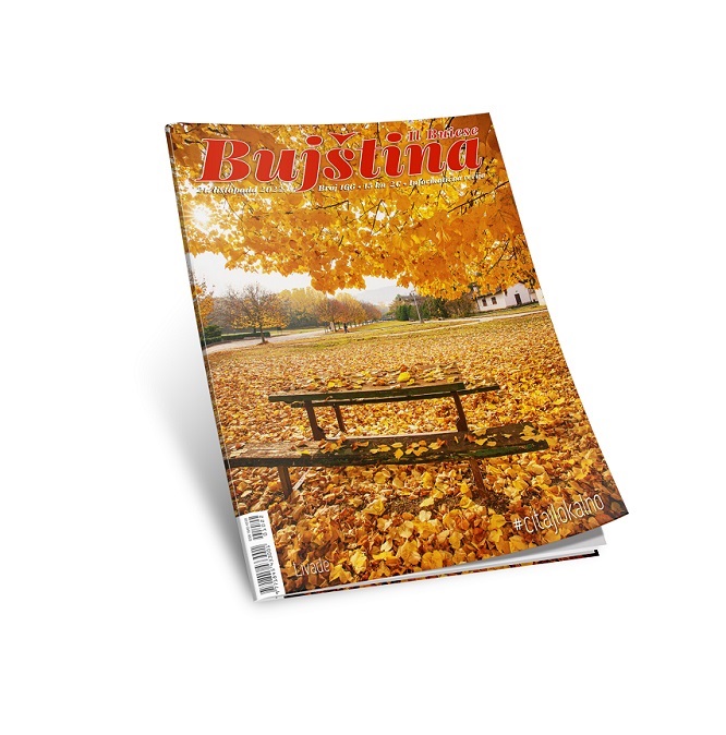 Časopis Bujština