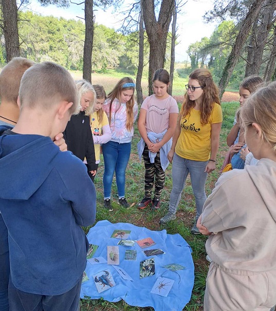 Foto OŠ Tar-Vabriga