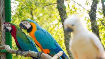 Foto Papago park Poreč