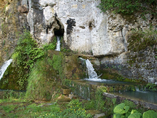 Foto TZ Buje - Momjanska fontana