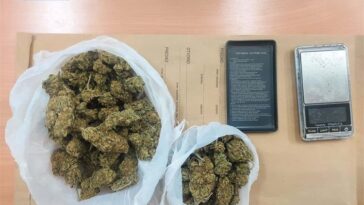 Foto Policijska uprava istarska - Ilustracija droga marihuana