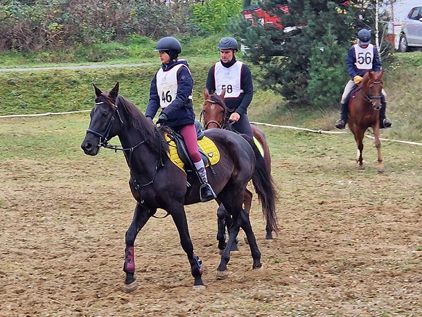 Foto Konjički klub Spirit Poreč