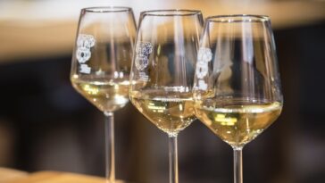 Foto Vinistra - Neven Jurjak čaša vino