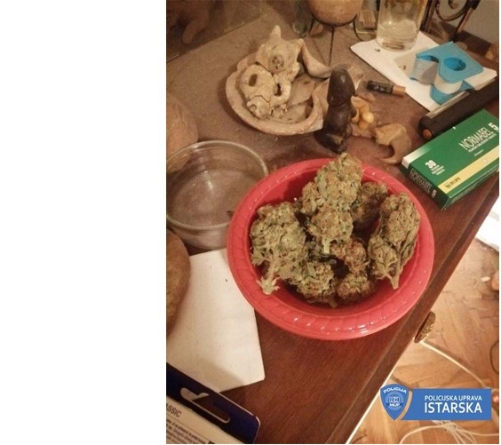 Foto Policijska uprava istarska droga marihuana