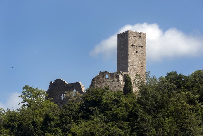 Foto Istarska županija - Momjan