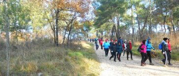 Pječačenje - Foto TZ Buje parenzana