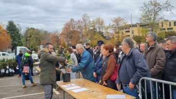 Podjela besplatnih sadnica u Poreču u sklopu akcije 