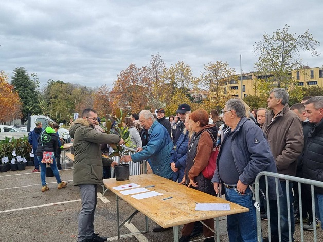 Podjela besplatnih sadnica u Poreču u sklopu akcije 