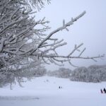 29.01.2023., Begovo Razdolje - Najviše naseljeno mjesto Hrvatske okovano snijegom. Photo: Goran Kovačić/PIXSELL